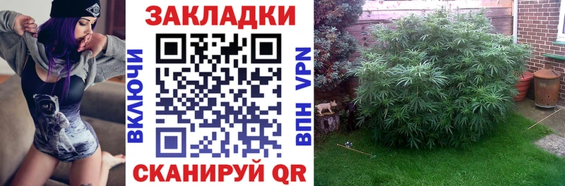 Где купить Озёрск Каннабис  Alpha-PVP  Гашиш  Меф 