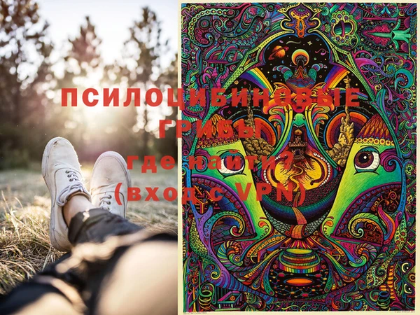 бошки Горнозаводск