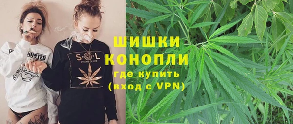 бошки Горнозаводск