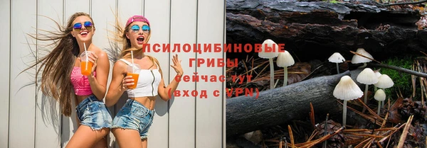 jwh Вязьма