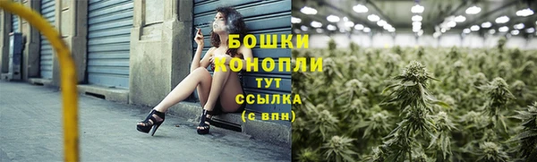 бошки Горнозаводск