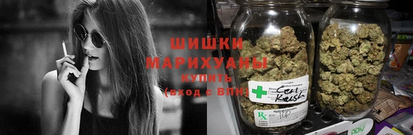 крисы Новодвинск