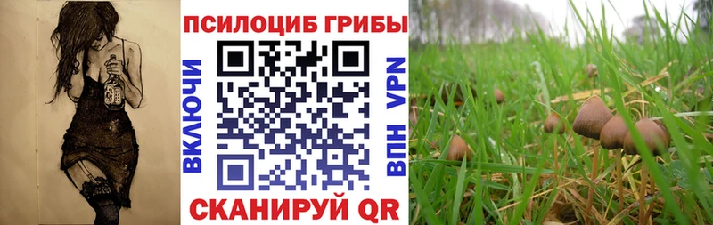 как найти наркотики  Озёрск  Псилоцибиновые грибы ЛСД 